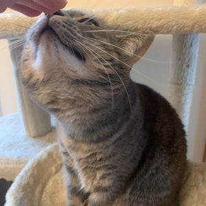 Meet your Posher, Li